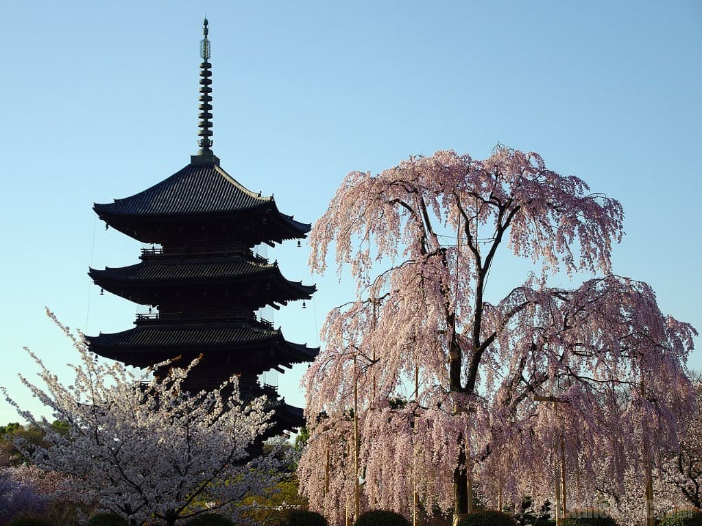 東寺(教王護国寺)の五重塔と桜